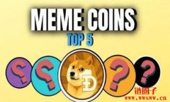 Meme 币属于风险投资吗？投资 Meme 币需要关注哪些因素？