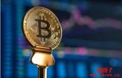 比特币涨破28000美元，跑赢黄金和股市