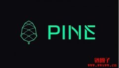 如何参与 Pine Protocol IDO