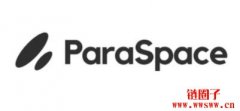 ParaSpace实施提现时间锁定安全增强措施
