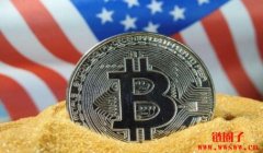 美国政府是最大的比特币鲸鱼？持超21万枚比特币！是