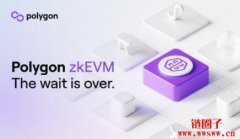 Polygon zkEVM主网Beta版本将于今晚上线，Vitalik受邀直播