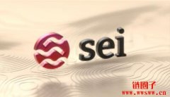 Sei 成立了 Sei 基金会来处理代币资助、空投等事项