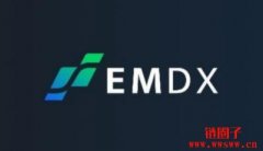 衍生品 DEX EMDX 将在 Avalanche 子网上线 V2