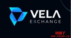 Vela Exchange 因发现 VLP 价格问题而提前结束 Beta