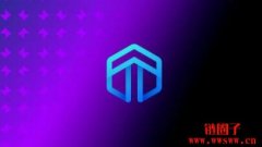 什么是 Dynex (DNX)?Dynex是何时以及如何推出的?