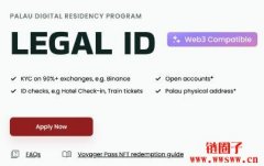 什么是帕劳RNS.id？4个简单步骤申请RNS.id