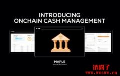 Maple Finance 为加密投资者推出美国国债
