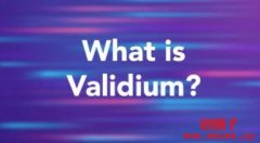 什么是 Validium？