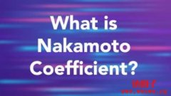 什么是中本系数（Nakamoto Coefficient）？
