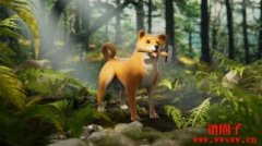 Shiba Inu Metaverse：如何购买SHIB土地