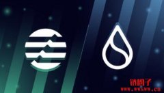 Move系公链对比：Sui vs Aptos