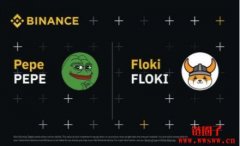 币安上架PEPE、FLOKI交易对，谁会是下一个迷因币王者