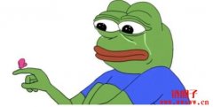 佩佩蛙PEPE币是什么？如何投资好？哪些交易所可以买