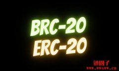 BRC-20、ERC-20有何关联？差异为何？