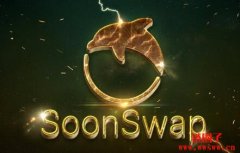 什么是SoonSwap(SOON)?1 SOON币等于多少人民币?