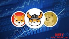 FLOKI（Floki Inu）是什么币？1 FLOKI币等于多少人民币？