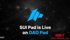 什么是SuiPad(SUIP)？1 SUIP币等于多少人