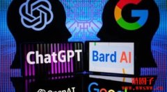 ChatGPT vs. Google Bard：哪个更好？