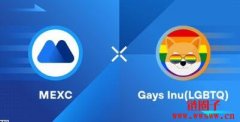 什么是Gays Inu(LGBTQ)？LGBTQ币常见问题汇