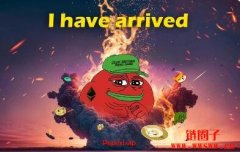 什么是PepeXL(PEPEXL)？哪些平台可以购买