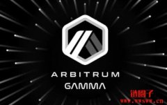 Gamma Protocol（GAMMA币）和GammaSwap的简单
