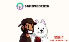 SAMO币（Samoyed coin）未来5年价格预测