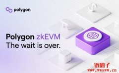 什么是Polygon zkEVM？Polygon zkEVM空投攻略！