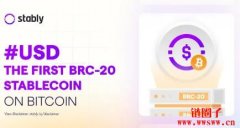 比特币网络稳定币Stably USD的简单介绍