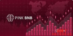 什么是Pink BNB(PNB)？哪里可以购买PNB币