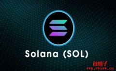SOL币介绍丨SOL币价格走势，SOL币未来价格还会涨吗？