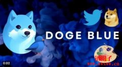 什么是Doge Blue(DOGEBLUE)?哪里可以购买DOGEBLUE币?