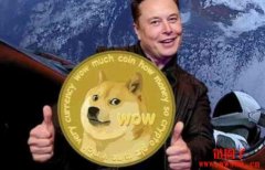 SEC起诉两大交易所，马斯克发「Doge