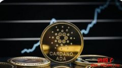 Cardano「CIP-1694 协议」线下聚会来了！