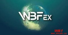 WBF交易所的特点和优势