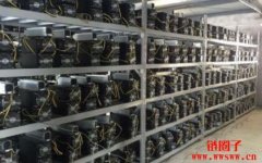 挖矿服务器：数字货币热潮下的重要角色