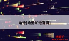 哈池矿池——数字货币挖矿的不二选