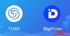 DigiFinex（D网）是什么交易所（D网就是DigiFinex吗）