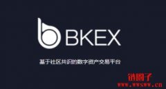 深度分析BKEX交易所，探索其独特优势和未来发展方向