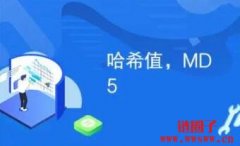 哈希值是什么意思？一文搞懂哈希值