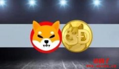 柴犬币(SHIB)怎么买?购买柴犬币有哪些方法?