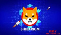 Shibarium测试网交易量达2500万笔，会推动SHIB价格上涨吗？