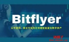 bitFlyer交易所是哪个国家的？