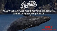 NFT巨鲸WhaleShark是谁？WhaleShark有什么影