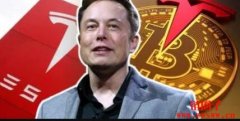 特斯拉公布Q2 财报，并未抛售比特币