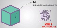 什么是交易哈希（Transaction Hash）和区