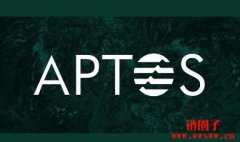 Aptos在与社交媒体平台Chingari整合后，活动量激增