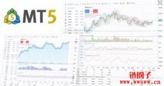 mt5是做什么的？mt5官网地址是多少？