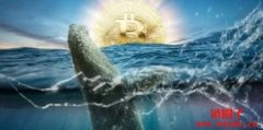 老巨鲸唤醒上千枚比特币！沉睡11年价