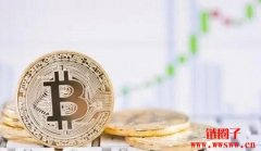 比特币最高价格涨到了多少美元？